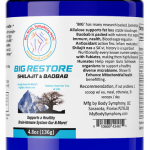 BIG Restore (new formulation)